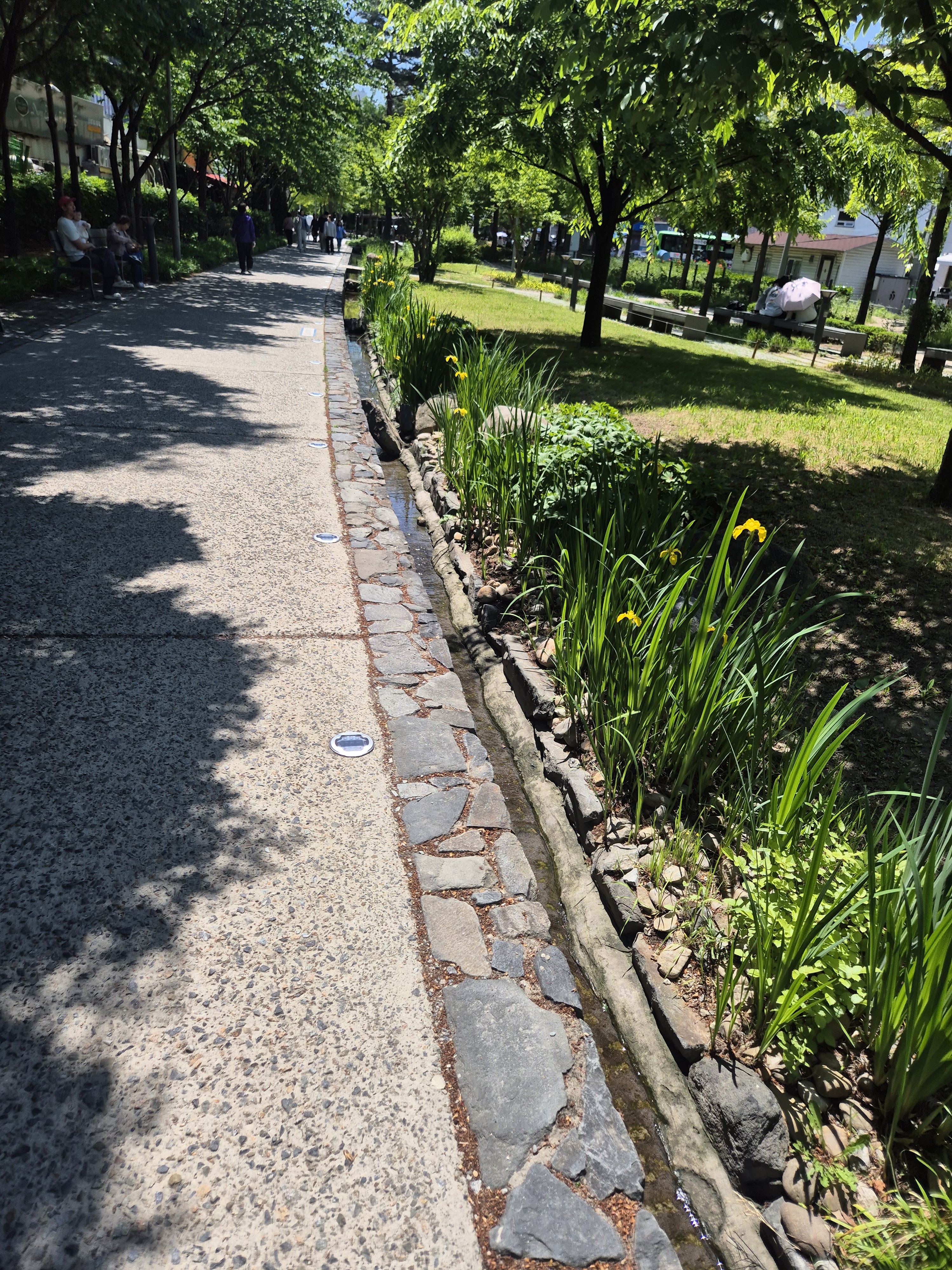 A paved pathway bordered by greenery and flower beds, featuring a small water channel along one side.