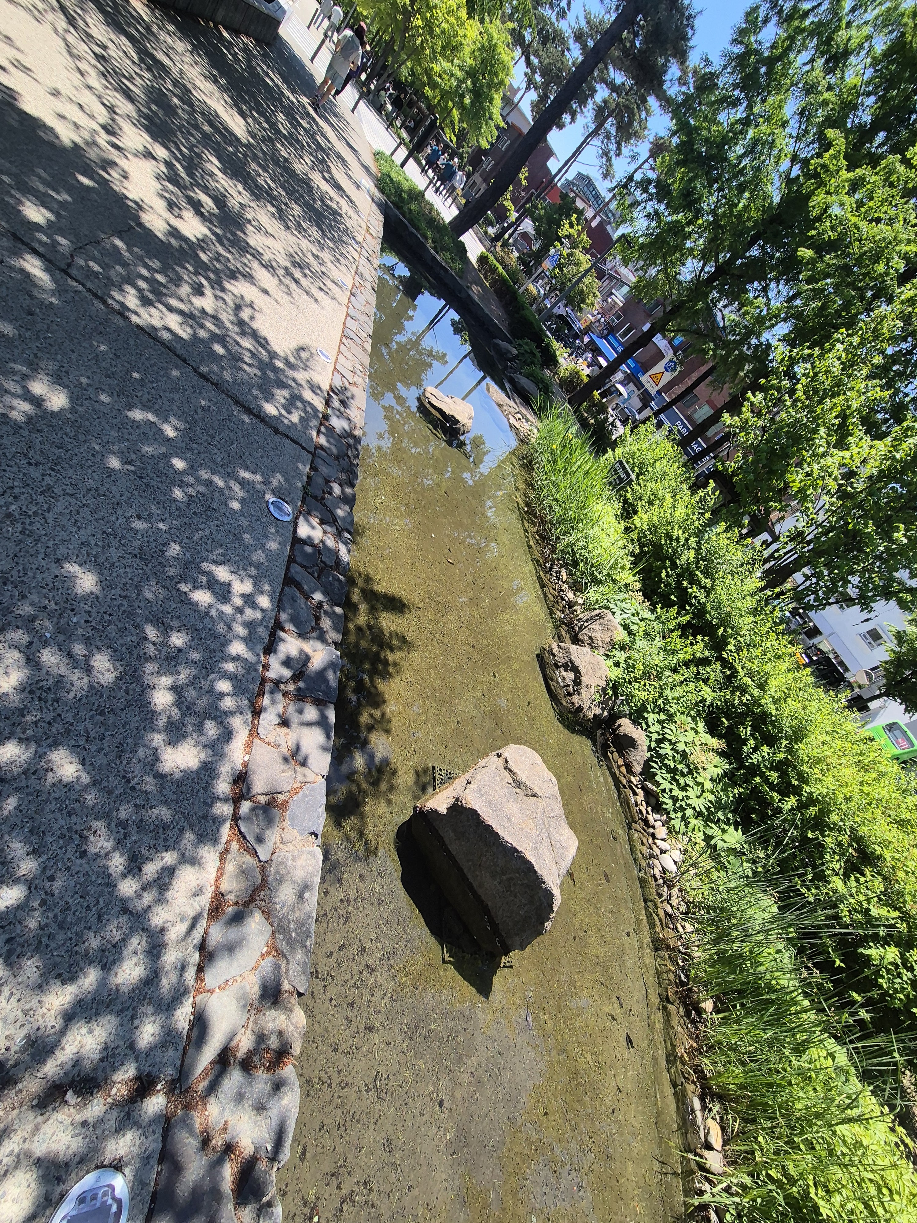 A shallow water feature lined with stones, featuring a prominent rock in the centre, surrounded by lush greenery and trees, alongside a paved walkway with people in the background.