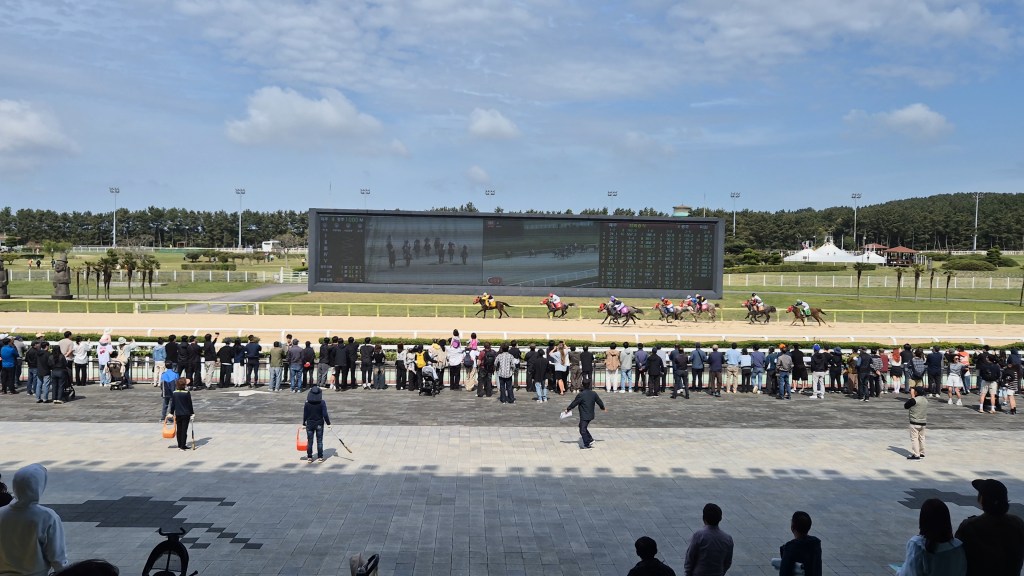 Thrill and Family Fun: A Day at Let’s Run Park&nbsp;Jeju