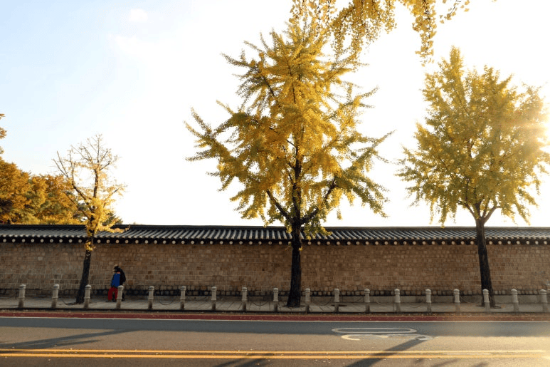 Where Past and Present Collide: Samcheong-dong to Cheonggyecheon (Autumn in the&nbsp;City)